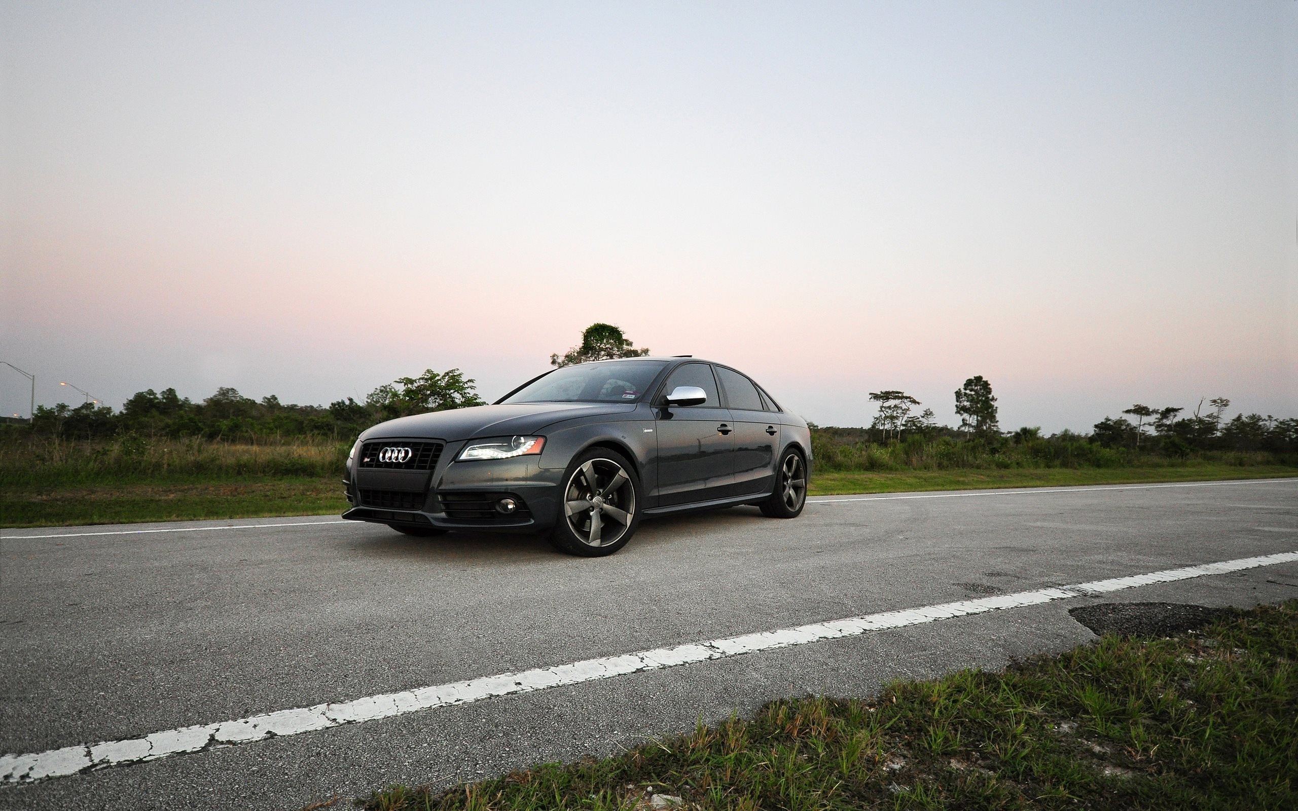 Audi S4 напротив живой природы
